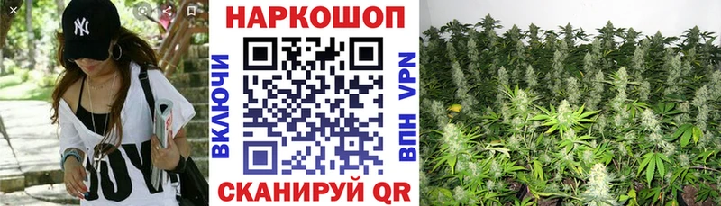 Где купить Чишмы blacksprut как зайти  Alpha PVP  ГАШИШ  Cocaine 