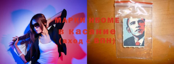 индика Алзамай