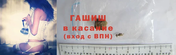 индика Алзамай